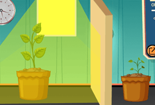 Clarify that light is one of the basic needs of plants