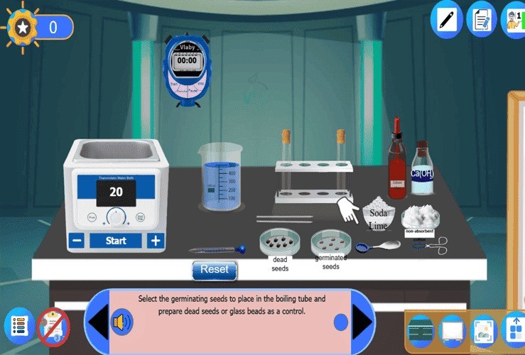 Investigating the effect of temperature on the respiration rate of germinated seeds