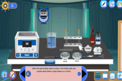 Investigating the effect of temperature on the respiration rate of germinated seeds