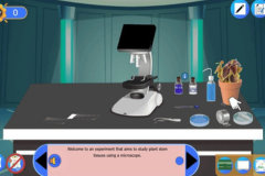 تقنية الصبغات التفاضلية