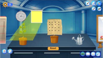 Effet de la lumière sur l'apparition de la chlorophylle chez certaines plantes
