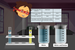 Exhaled Air Contains Carbon Dioxide