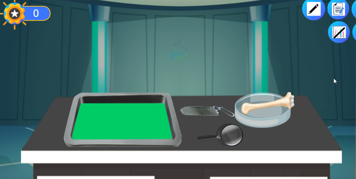 تشريح العظام