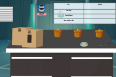 Investigating Plant Responses (Tropism)