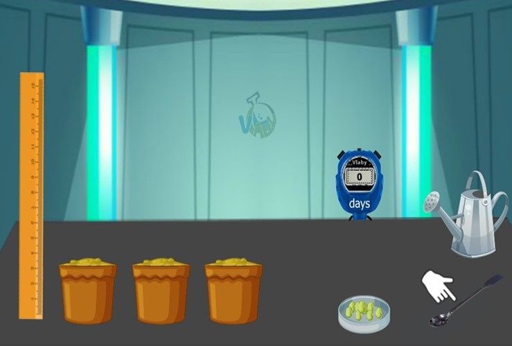 Wie viel Wasser brauchen Pflanzen?