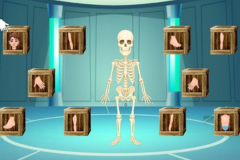 أجزاء الجسم