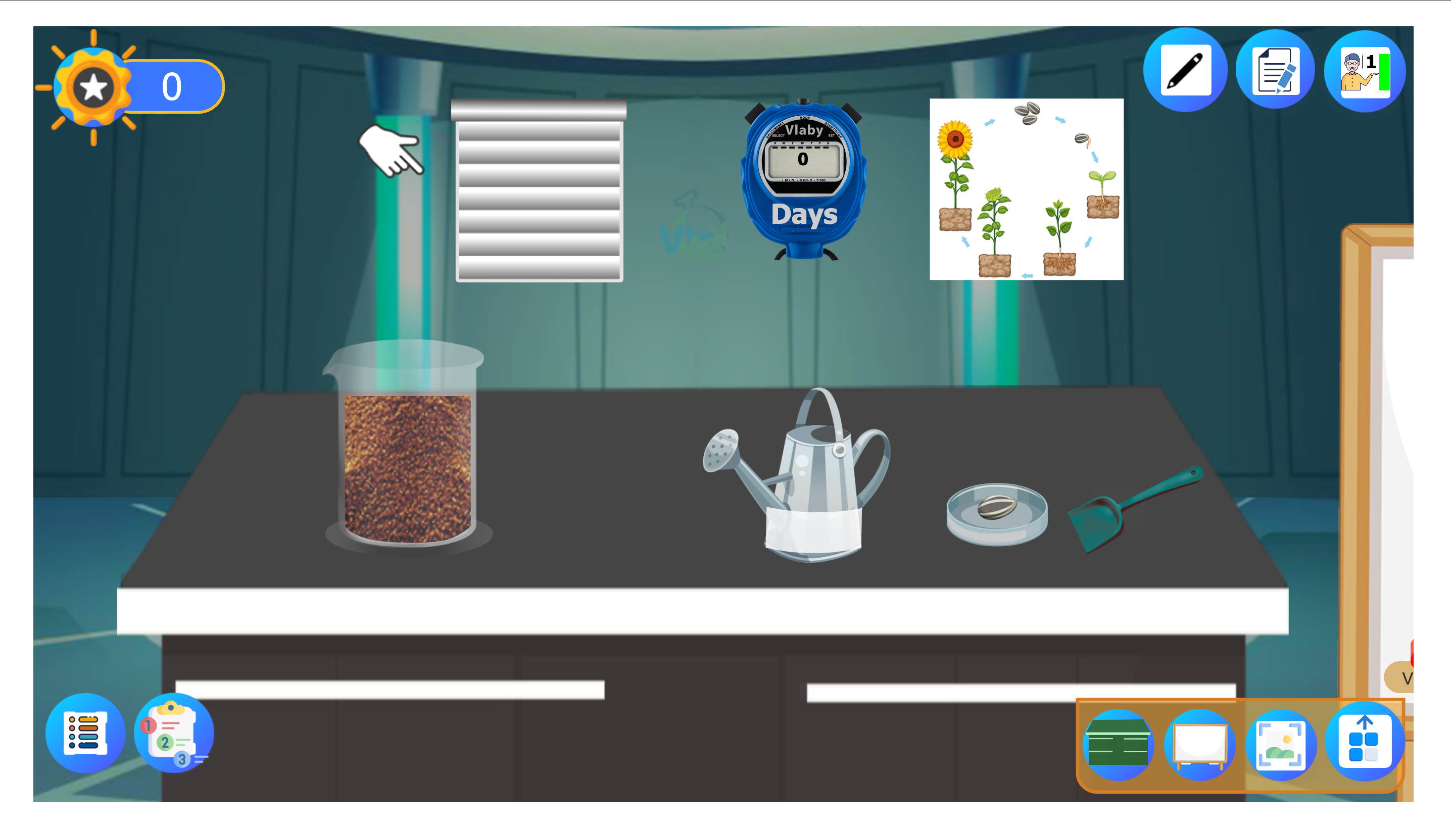 دورة حياة النبات