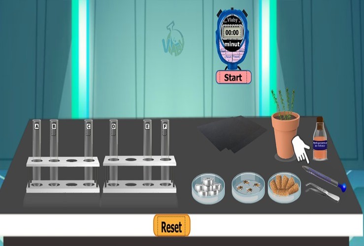 كيف تؤثر النباتات والحيوانات في تركيز ثاني أكسيد الكربون؟