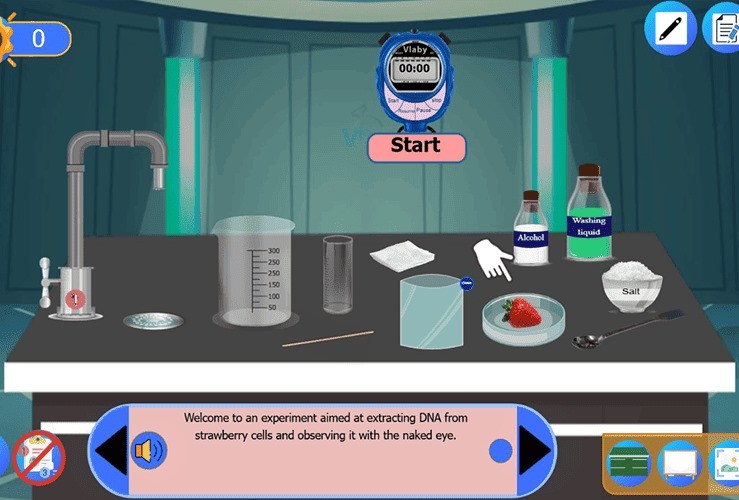 Ekstraksi DNA dari stroberi