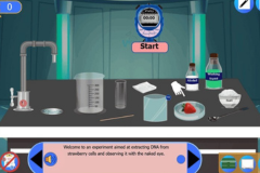 Extracting DNA from Strawberries