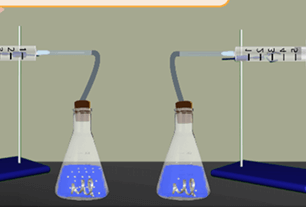 Der Einfluss der Konzentration der Reaktanten auf die Geschwindigkeit der chemischen Reaktion