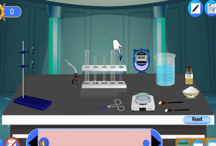 Combustion of Fats and Carbohydrates