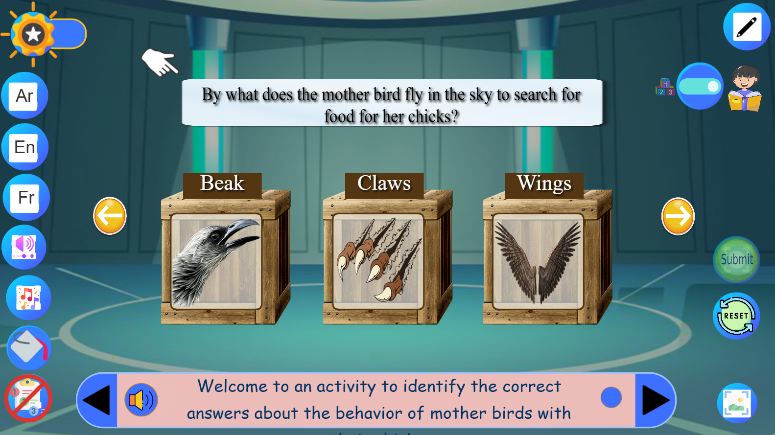 Comportement des oiseaux mères avec leurs petits