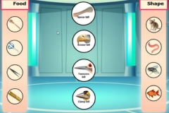 كيف تأكل الطيور