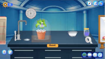 Processus de transpiration dans les plantes