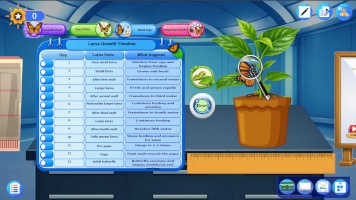 Characteristics and Body Structure of Insects