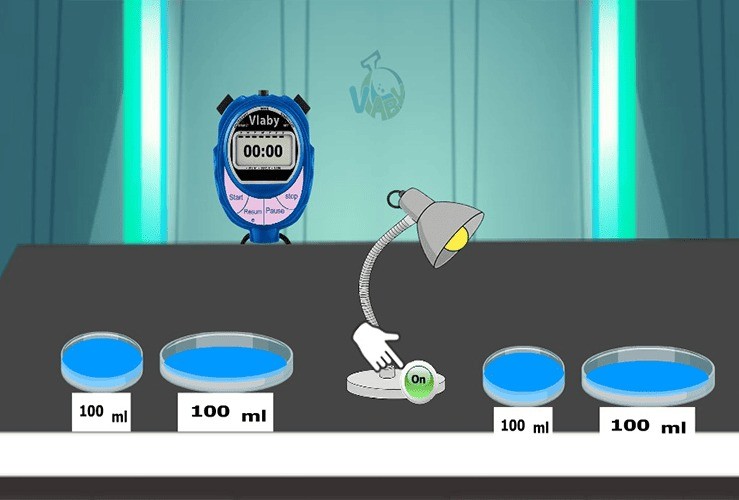 Factors Affecting the Rate of Water Evaporation