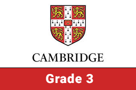 CIC | Grade 3