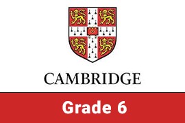 CIC | Grade 6