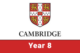 CIC | Year 8