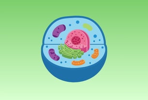 Cell Biology & Genetics