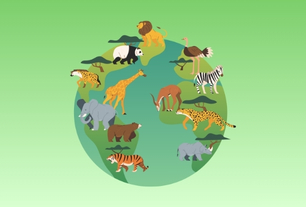Environmental Adaptation