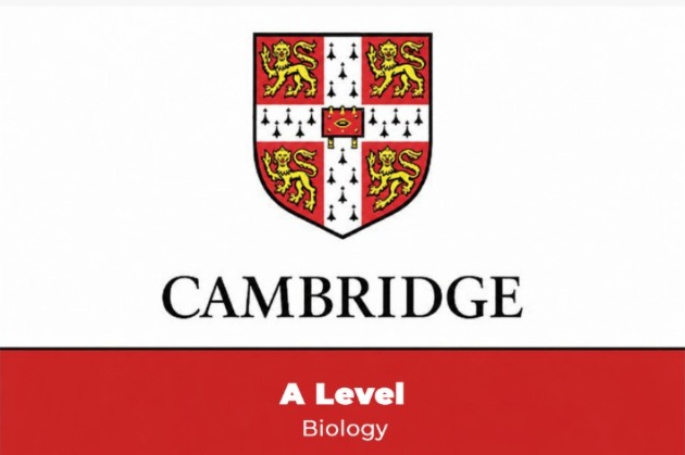 A Level | Biology