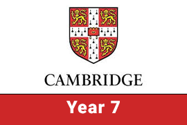 CIC | Year 7