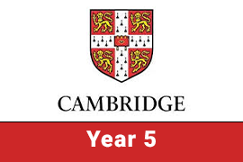 CIC | Year 5