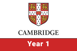 CIC | Year 1